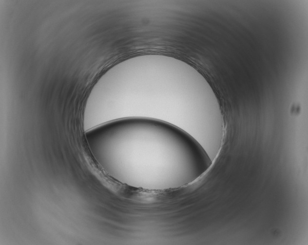 X0000113920190200909241338