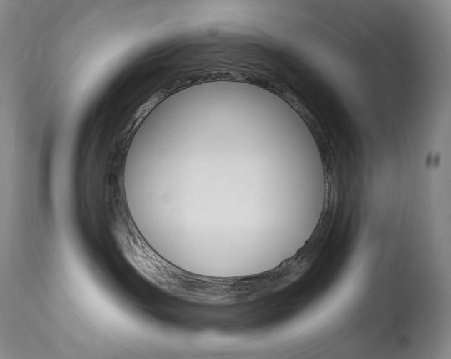 X0000113920191200909241338