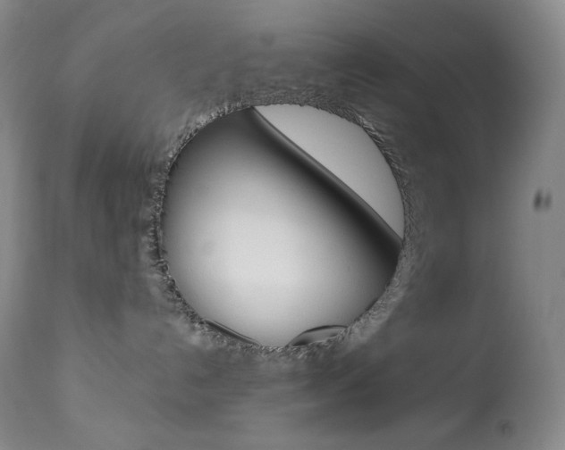 X0000113920192200909241338