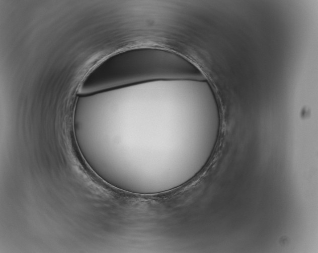 X0000113920193200909241337