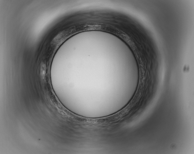 X0000113920194200909241337