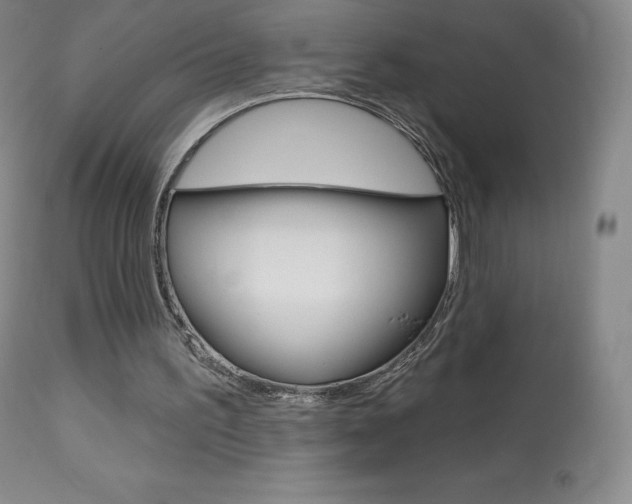 X0000113920195200909241337