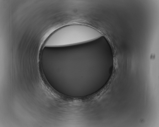 X0000113920196200909241337