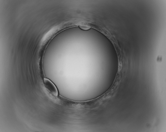 X0000113920197200909241337