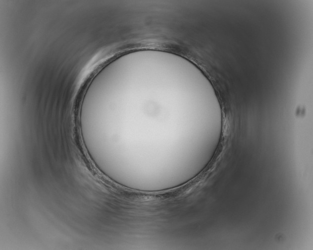 X0000113920198200909241337