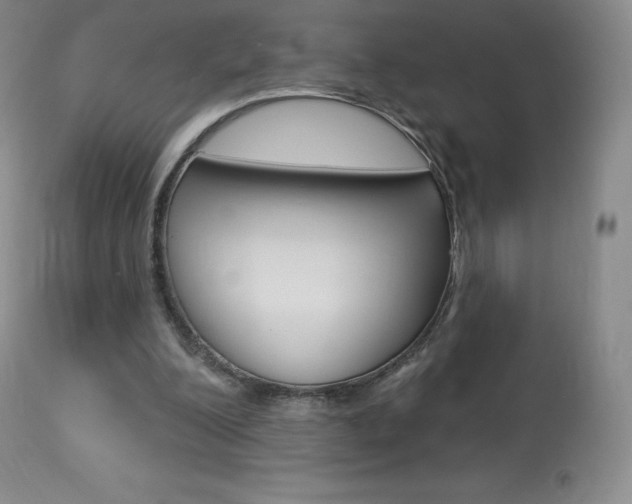 X0000113920200200909241337