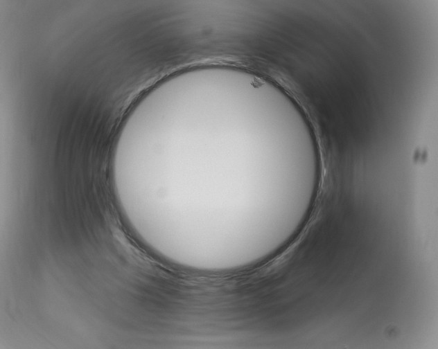 X0000113920201200909241337