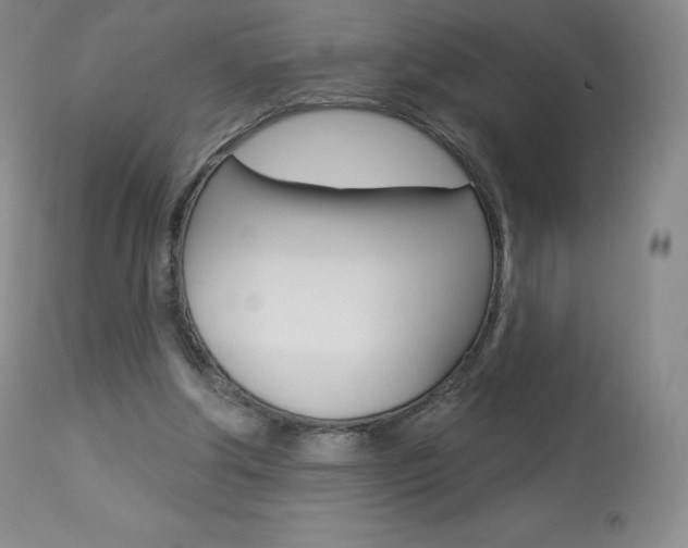 X0000113920202200909241337