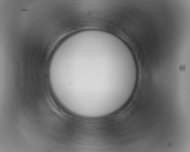 X0000113920203200909241337