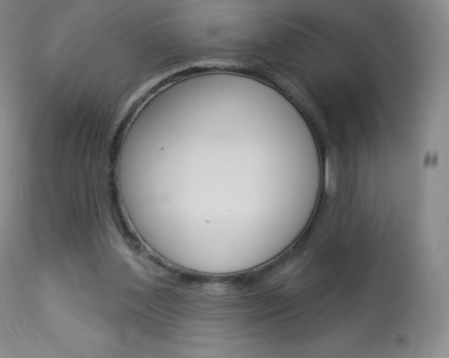 X0000113920204200909241337