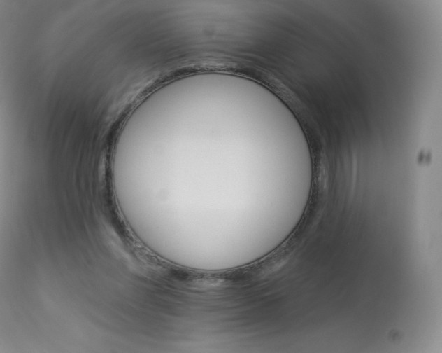 X0000113920206200909241337