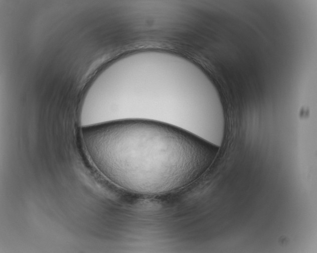 X0000113920207200909241337