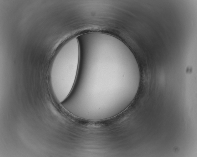 X0000113920208200909241337