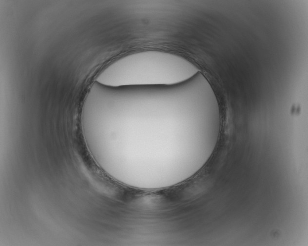 X0000113920210200909241337