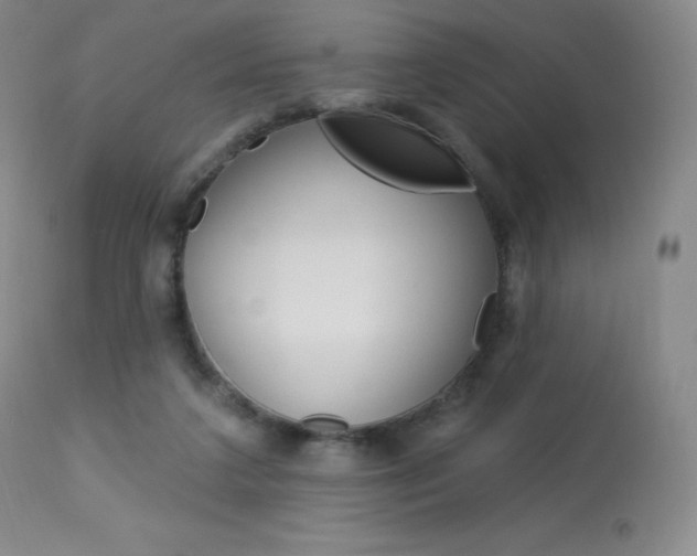 X0000113920211200909241337