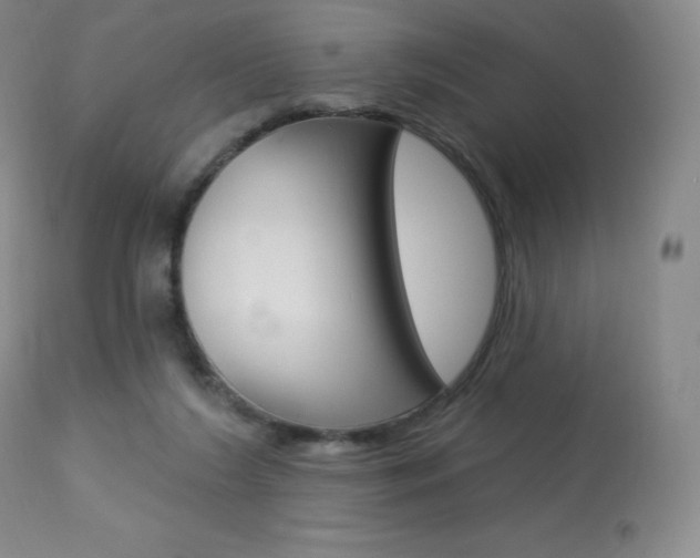 X0000113920212200909241337