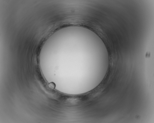 X0000113920213200909241337