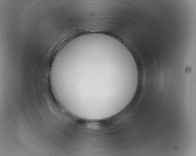 X0000113920214200909241337