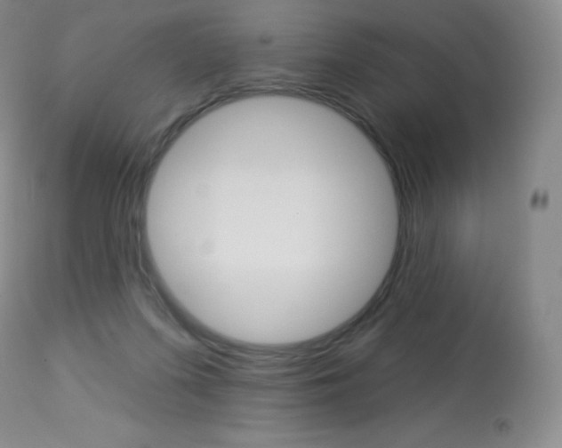 X0000113920215200909241337