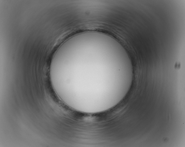 X0000113920216200909241337