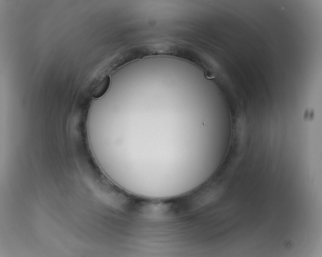 X0000113920217200909241337