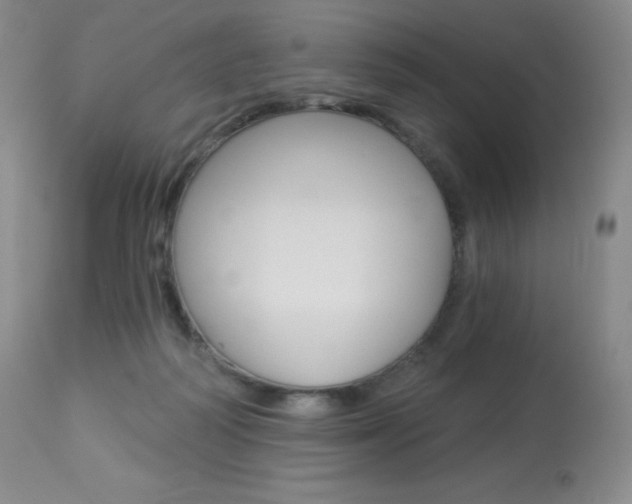 X0000113920218200909241337