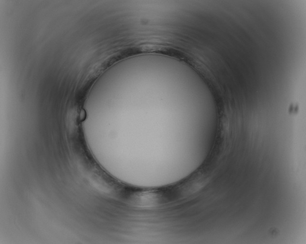 X0000113920219200909241337