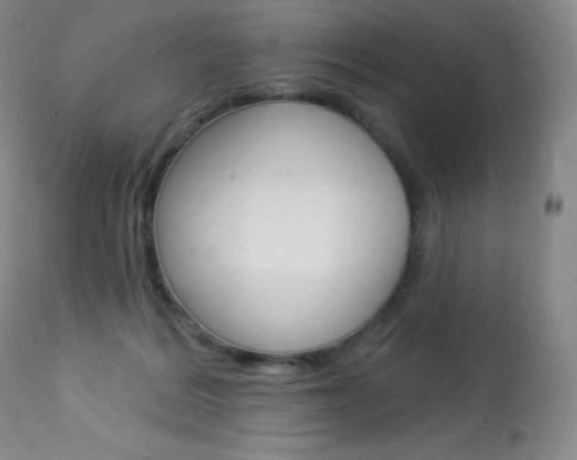 X0000113920220200909241337