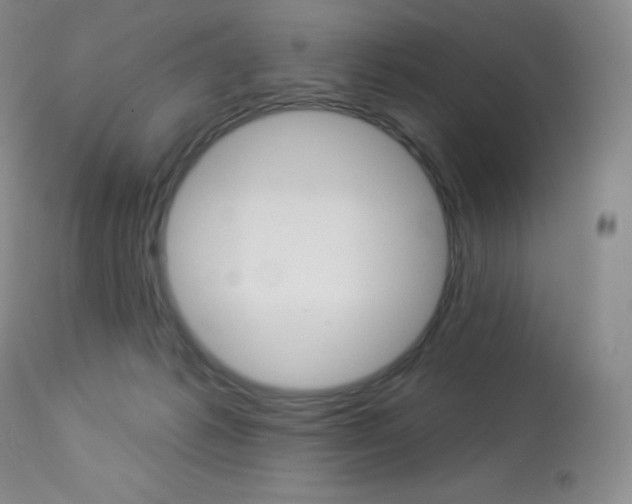 X0000113920221200909241337