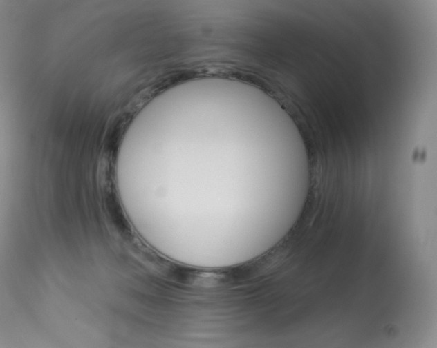 X0000113920222200909241337