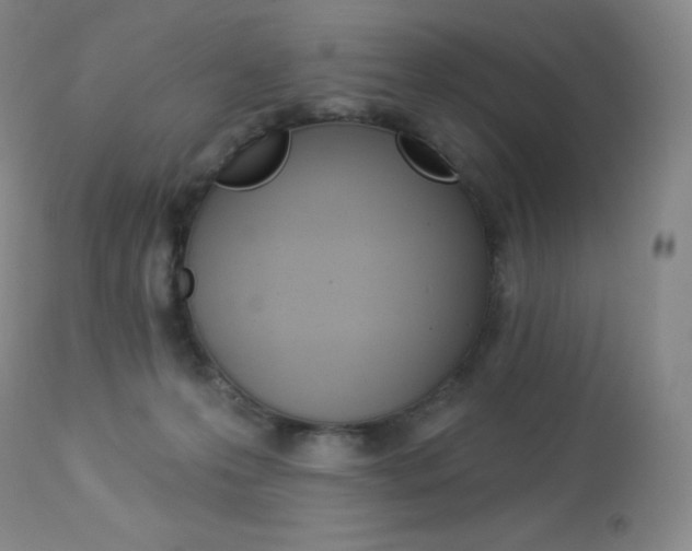 X0000113920223200909241337