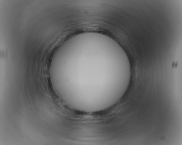 X0000113920224200909241337