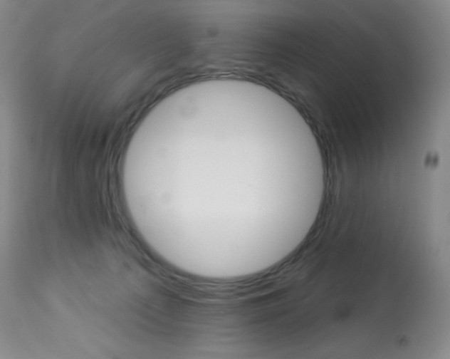 X0000113920225200909241337