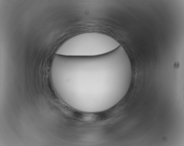 X0000113920226200909241337