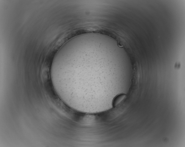 X0000113920227200909241337