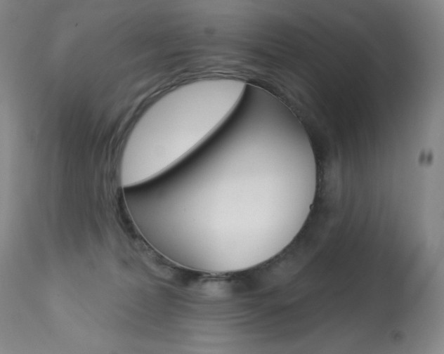 X0000113920228200909241337