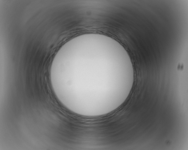 X0000113920229200909241337