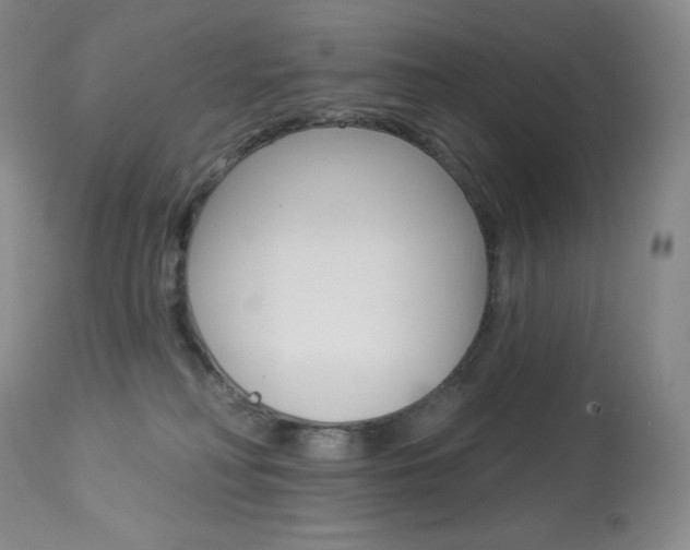 X0000113920230200909241336