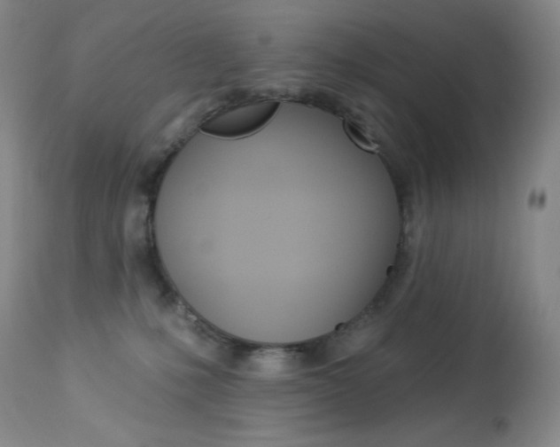 X0000113920231200909241336