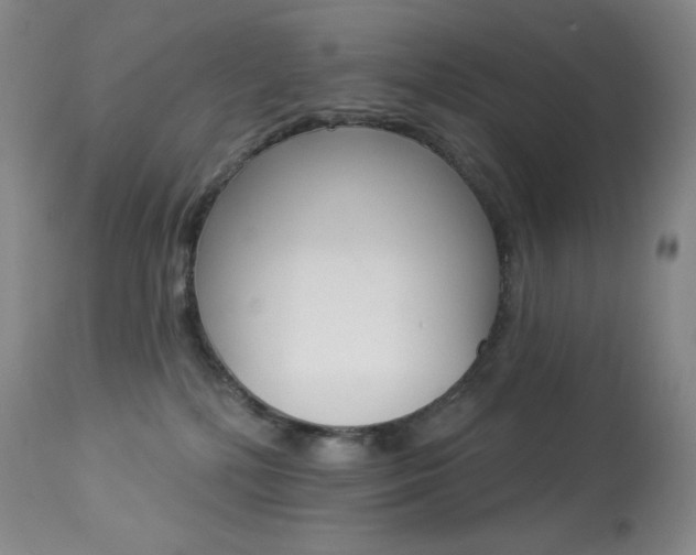 X0000113920232200909241336