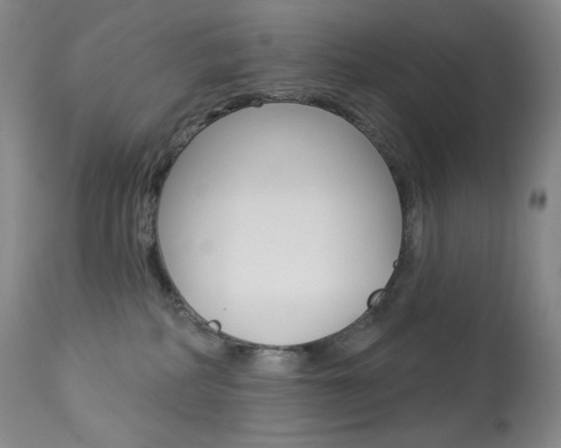 X0000113920234200909241336