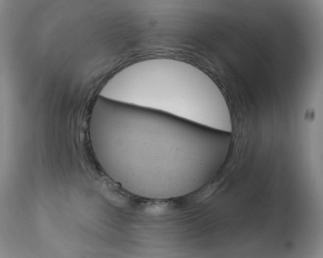 X0000113920235200909241336