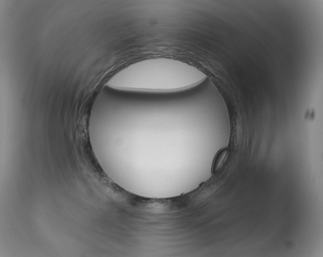 X0000113920236200909241336