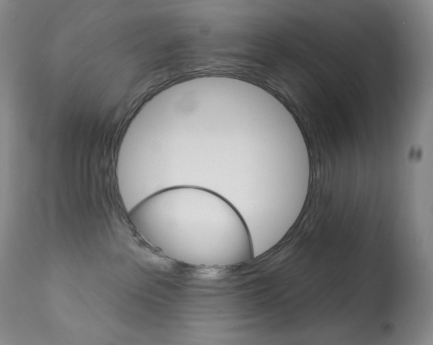 X0000113920237200909241336