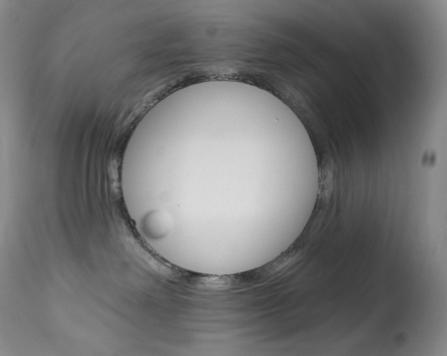 X0000113920238200909241336