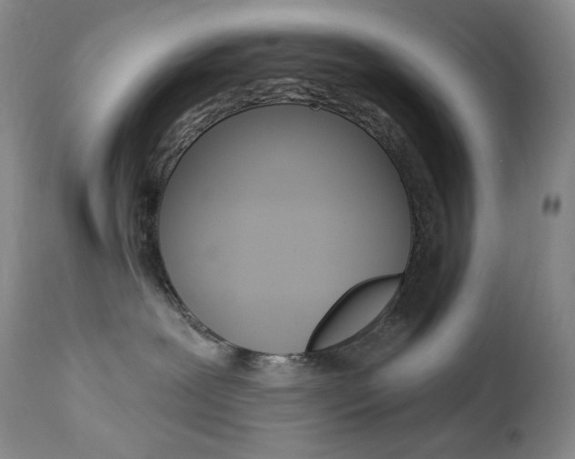 X0000113920239200909241336