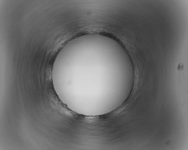 X0000113920240200909241336