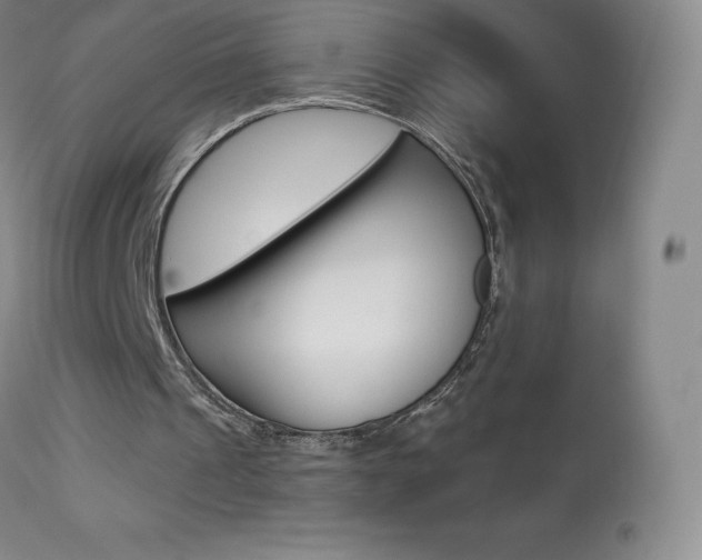 X0000113920241200909241336