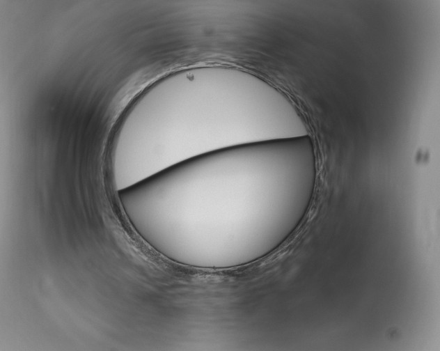 X0000113920242200909241336