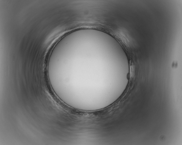 X0000113920243200909241336